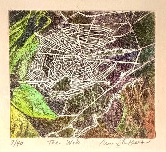 The Web
