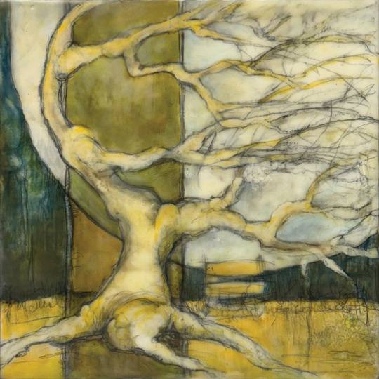 Rooted Quiet 2