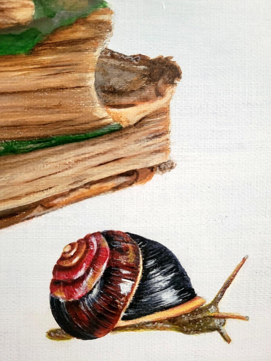 Layers of Curiosity, image 2