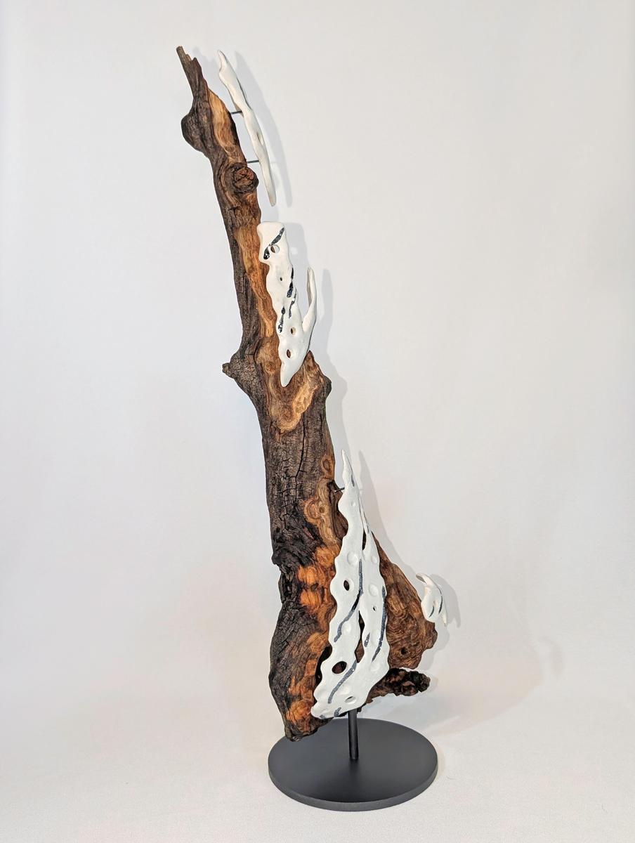 Perceptual Permanance, image 3