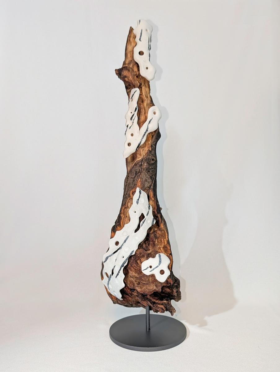 Perceptual Permanance, image 2